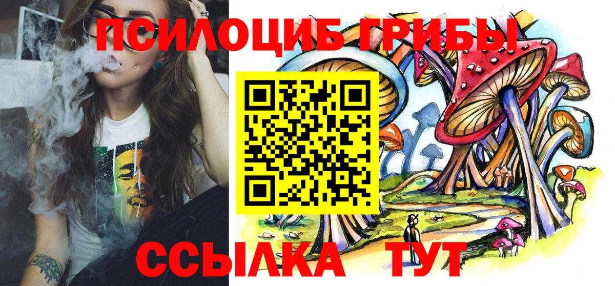 Псилоцибиновые грибы прущие грибы  Вход с VPN  Тосно 